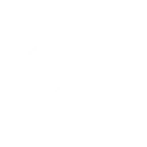 MM Aestheticx